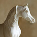 Deborah Mcdermott Photo 21