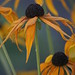 Susan Frost Photo 11