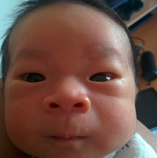 Vincent Lin Photo 46