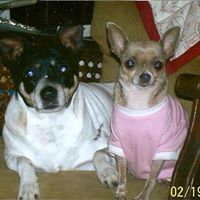 Virginia Carroll Photo 30