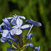 Susie Sharp Photo 8