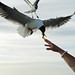 Jill Gull Photo 4