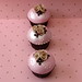 Debbie Brush Photo 14