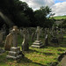 Gregory Ray Photo 15