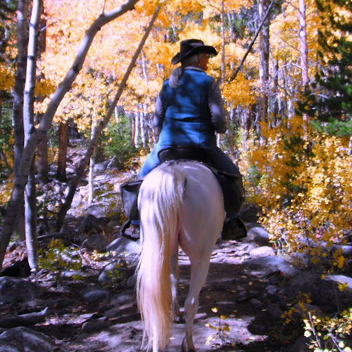 Susan Shedd Photo 17