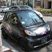 Ed Smart Photo 24