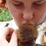 Shannon Mcelroy Photo 15