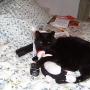 Christine Couture Photo 28