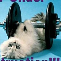 Cordova Mercado Photo 1