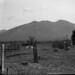 Beverly Gamble Photo 19