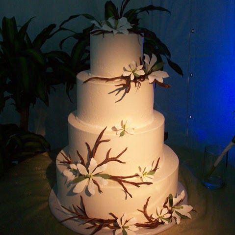 Lisa Browning Photo 27