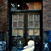 Deborah Alley Photo 10