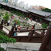 Eva Lin Photo 14
