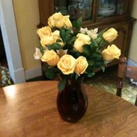 Colleen Schneider Photo 21