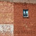 Lisa Winslow Photo 31