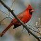 Kathy Price Photo 19