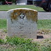 Barbara Graves Photo 46