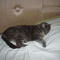 Norma Fuller Photo 18