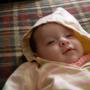 Richard Radtke Photo 15