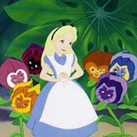 Alice Arnold Photo 30