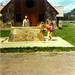 Lisa Baer Photo 18