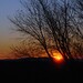 Sarah Colson Photo 31
