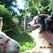 Don Collie Photo 20