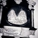 Elizabeth Sandford Photo 11