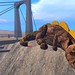 Eric Linden Photo 20