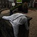 Bonnie Deeds Photo 10