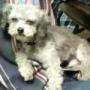 Cheryl Doty Photo 6