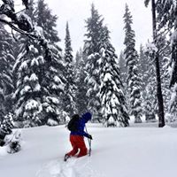 Nick Schramm Photo 15