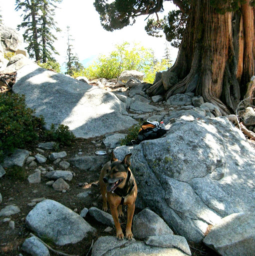 James Fitzhugh Photo 31