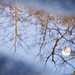 Sherry Wright Photo 15