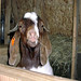 Nathan Hays Photo 11