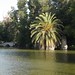 Sandra Higgins Photo 15