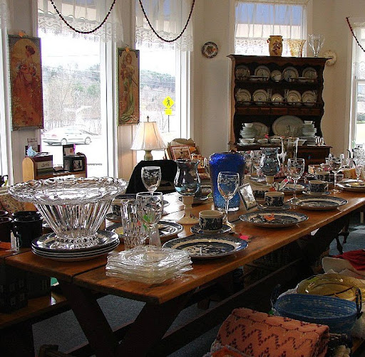 Carol Albert Photo 20