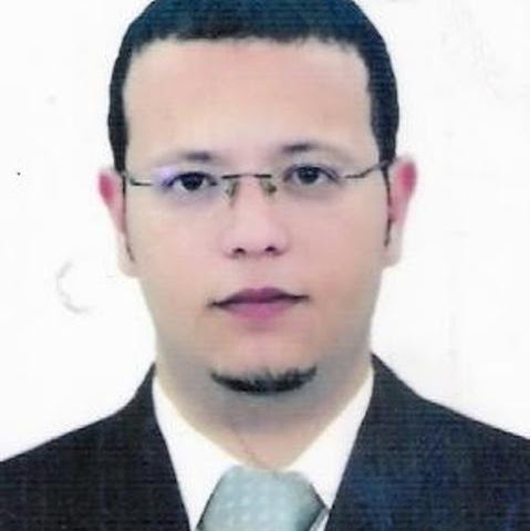 Mohamed Awad Photo 41