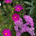 Ruth Mcdaniel Photo 9