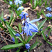 Timothy Spring Photo 12
