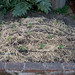Bradley Parsley Photo 7