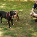 Tyson Marshall Photo 10