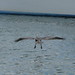 Joann Keys Photo 8