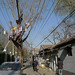 Beatrice Chen Photo 10