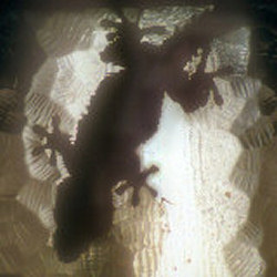 Martin Kramer Photo 35