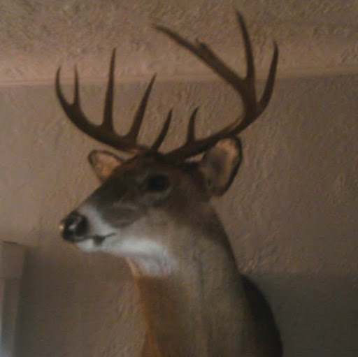 Todd Tyler Photo 22