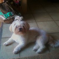 Dennis Griggs Photo 10