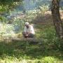 Edward Howe Photo 44