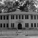 Elizabeth Towns Photo 9