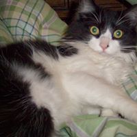 Terrie Stevens Photo 8